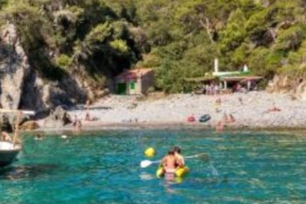 Piscina Playa Wifi Cozy Home Tax Free Palamós Kültér fotó